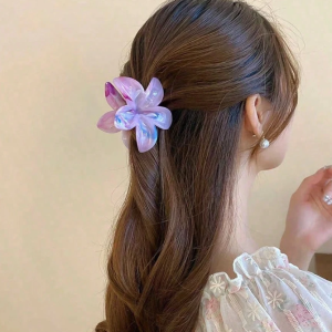 ACCESORIOS CABELLO